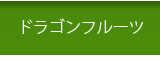 宮古島ウコン販売 こしはら農園｜ドラゴンフルーツ